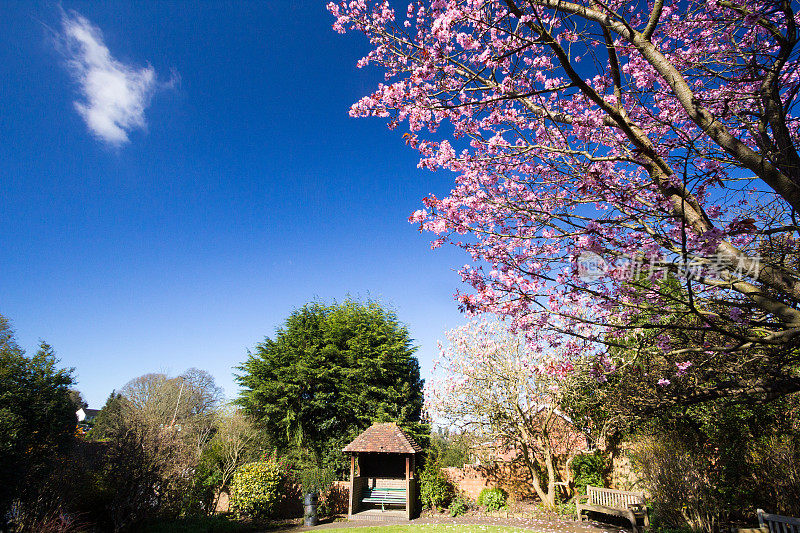 英格兰Sevenoaks的Upper High Street Gardens